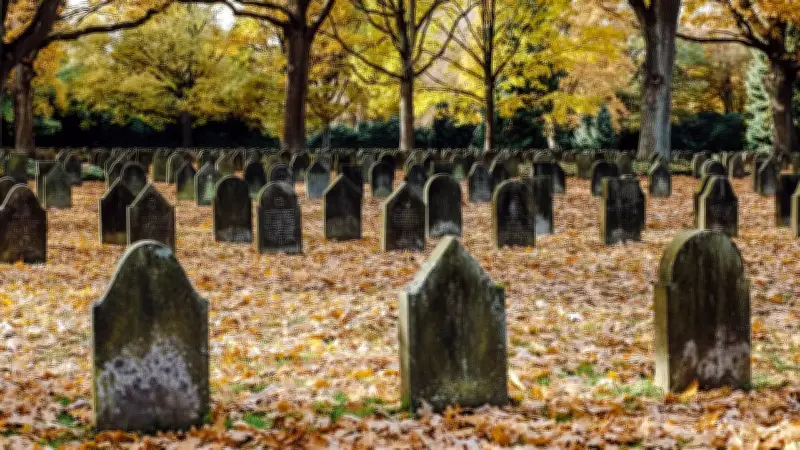 Descubren en Panamá tumba milenaria con tesoros de oro y símbolos de poder prehispánicos