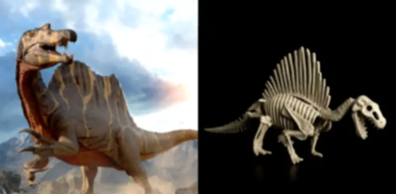 Descubren nueva especie de Spinosaurus en el Sáhara que cuestiona su hábitat marino