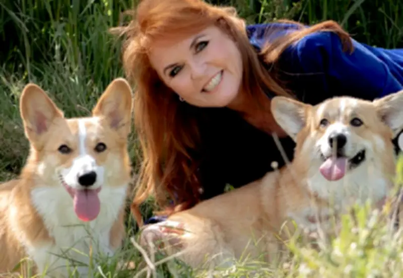 Detención del expríncipe Andrés sacude a la corona británica y revela ausencia de Sarah Ferguson