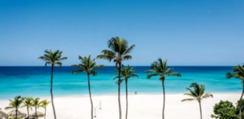 Eagle Beach en Aruba es elegida como la mejor playa del Caribe en 2026 por Tripadvisor