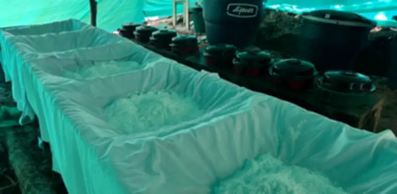 Ejército incauta más de una tonelada de cocaína del Clan del Golfo en Santander