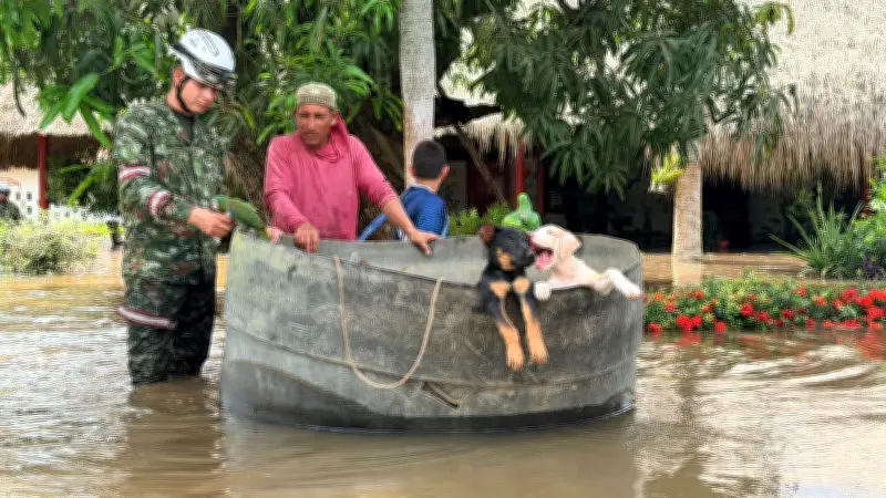 Ejército rescata más de 300 animales en inundaciones de Córdoba con apoyo veterinario de Cartagena