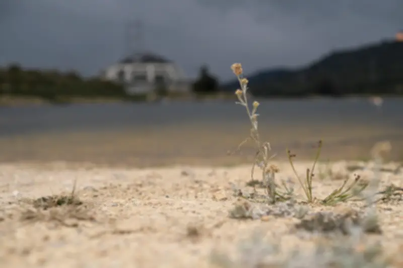 El Niño podría regresar: científicos detectan calentamiento en aguas del Pacífico