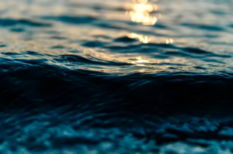 El Océano Índico Sur se 'dulcifica': un cambio crítico que afecta el clima global