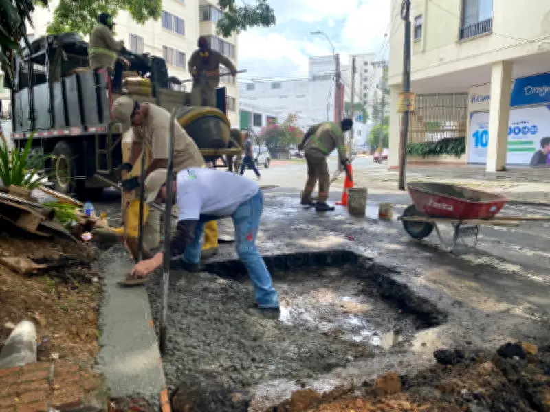 Emcali culmina adecuaciones en árbol samán de la Avenida Sexta tras denuncia ciudadana