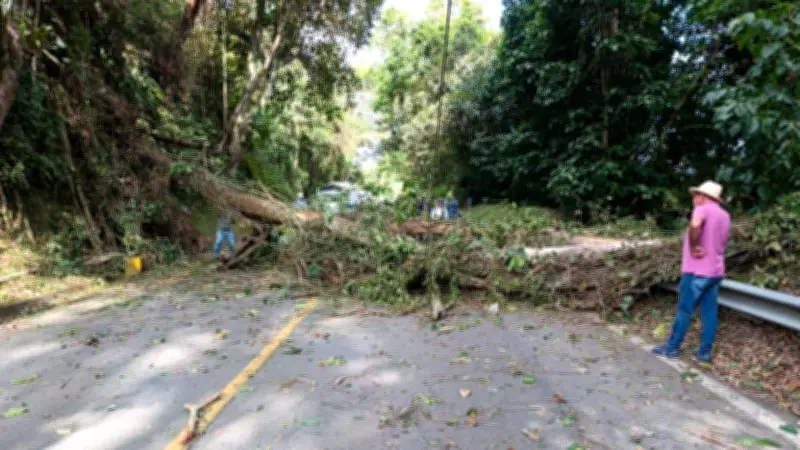 Emergencia vial en Colombia: Lluvias causan 11 cierres totales y colapso de puentes estratégicos