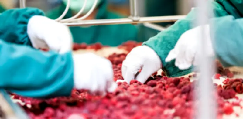 Empleo formal flexible aportó $20,4 billones a Colombia y enfrenta retos clave para 2026