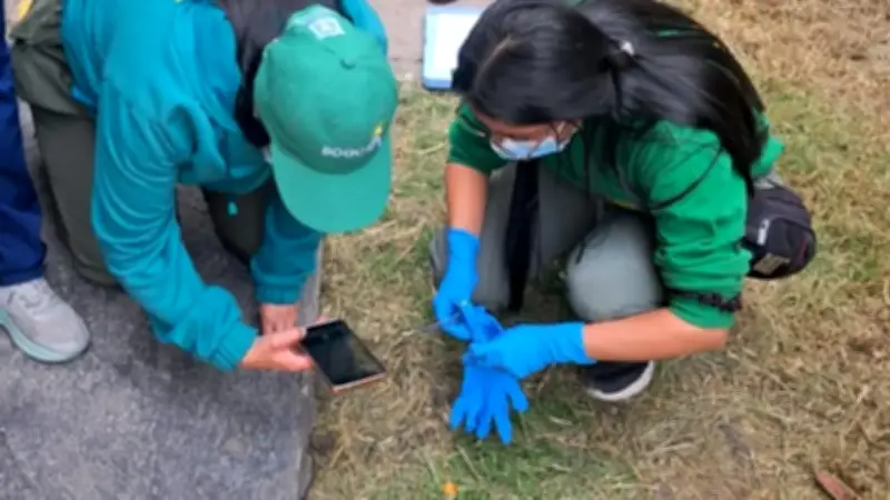 Envenenamiento de seis perros en colegio de Ciudad Bolívar: dos fallecidos y cuatro en estado crítico