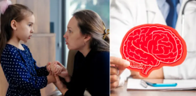 Estudio británico confirma que el bilingüismo no afecta la sincronía cerebral entre madre e hijo