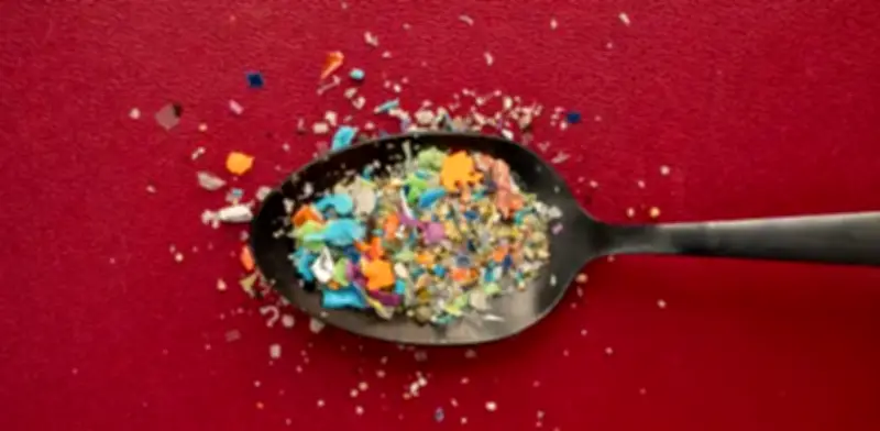 Estudio científico revela cómo las crecidas de ríos transportan plásticos hacia los océanos