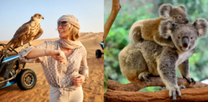 Estudio científico revela que animales silvestres no siempre temen a humanos