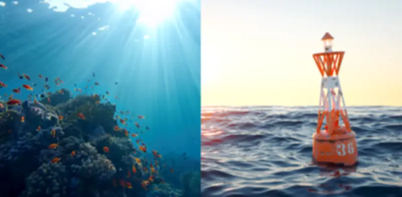 Estudio hispano-colombiano alerta: calentamiento oceánico reduce biomasa de peces un 20% anual