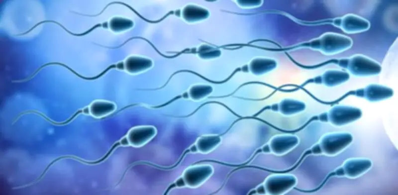 Estudio identifica 42 químicos cotidianos en semen humano que reducen calidad espermática