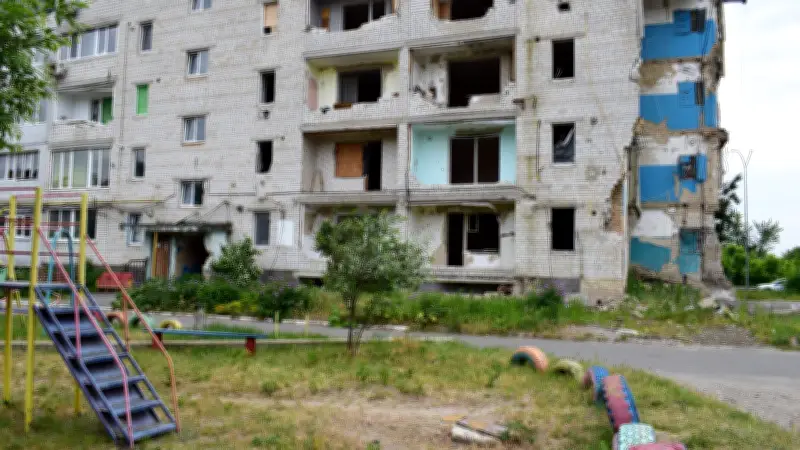 Estudio revela cómo la guerra en Ucrania afecta a los perros: 22% son callejeros y sufren desnutrición