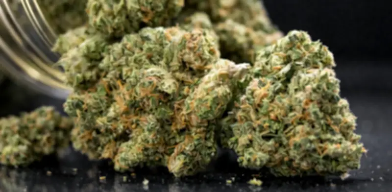 Estudio revela que consumo de cannabis en adolescencia duplica riesgo de psicosis y trastorno bipolar