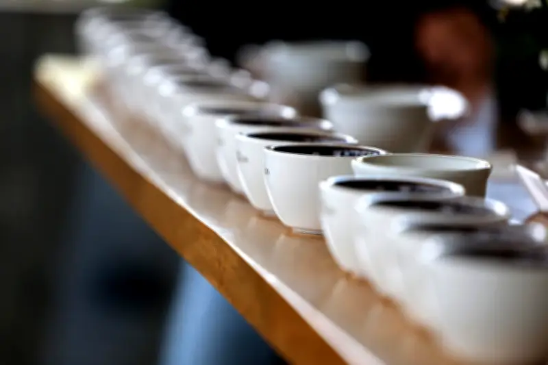 Estudio revela que el café con cafeína reduce el riesgo de demencia hasta en un 18%