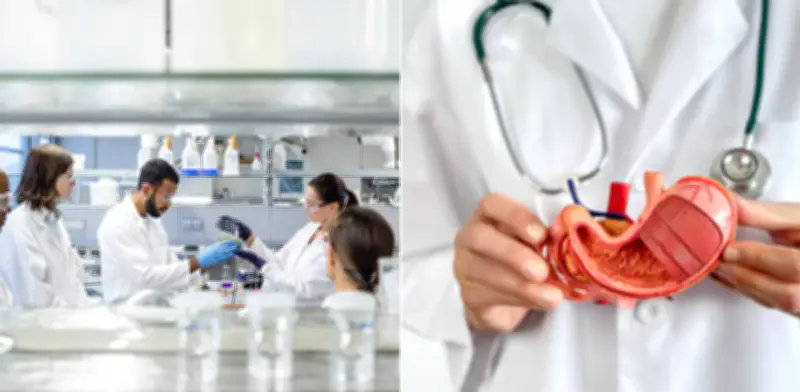 Estudio revela que el sistema nervioso activa el cáncer de páncreas antes de que aparezcan tumores