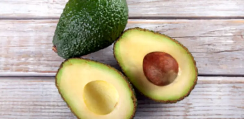 Exportaciones de aguacate Hass alcanzaron US$375 millones en 2025 con crecimiento del 21,3%