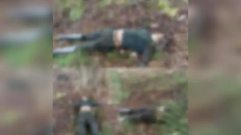 Extraen cinco cuerpos en zona limítrofe de Antioquia, tres con uniformes camuflados