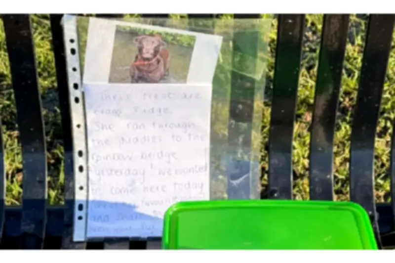 Familia rinde homenaje a su perra fallecida compartiendo sus golosinas en parque inglés