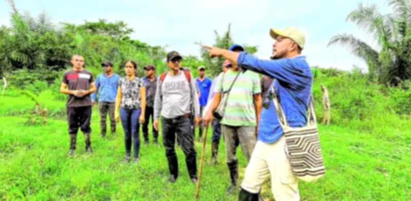 FAO alerta sobre lentitud en legalización de tierras en Colombia y exige acción inmediata