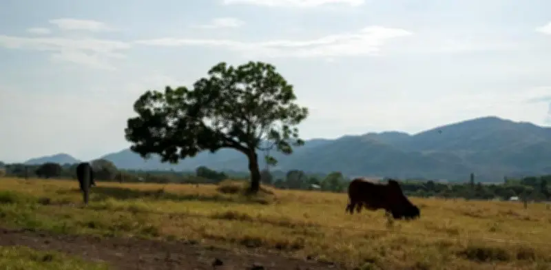 FAO destaca reforma agraria como pilar esencial para consolidar la paz rural en Colombia