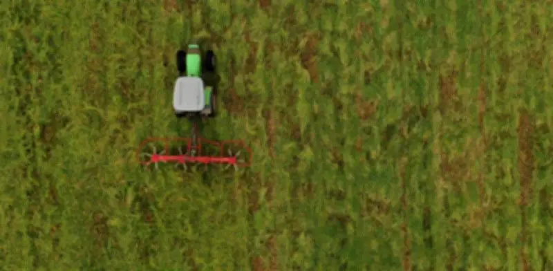 FAO revela que el 32% de trabajadores rurales en Colombia enfrenta inseguridad en tenencia de tierras