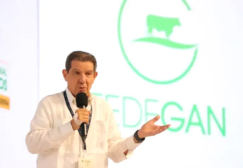 Fedegán solicita medidas urgentes al Gobierno por inundaciones que afectan ganadería en Caribe