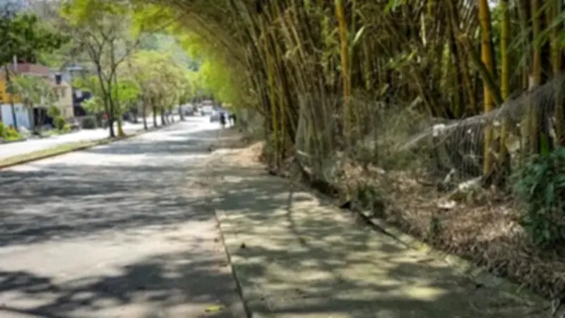 Floridablanca retira 5 toneladas de desechos en Transversal Oriental para mejorar seguridad