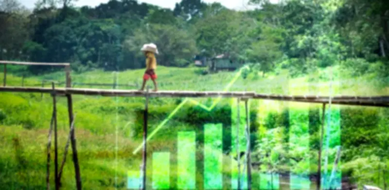 FNG supera metas de crédito formal en Colombia con $23,5 billones respaldados en 2025