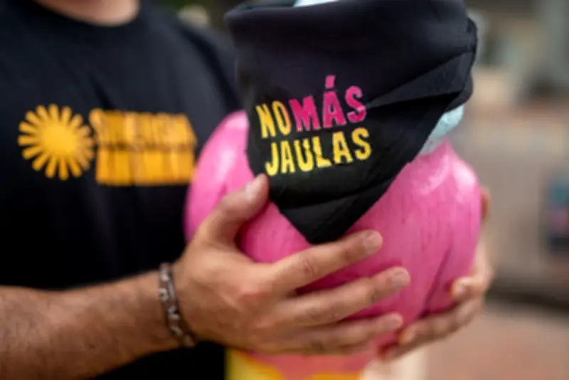 Foro Nacional analizará compromisos de protección animal con candidatos al Congreso