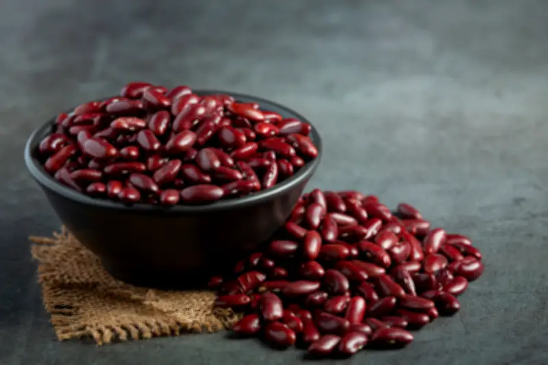 Frijol, habichuela o alubia: la misma legumbre con múltiples nombres en América Latina