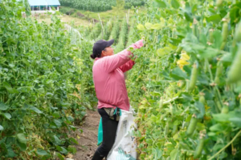 Gobierno anuncia ayudas financieras para campesinos afectados por inundaciones en Colombia