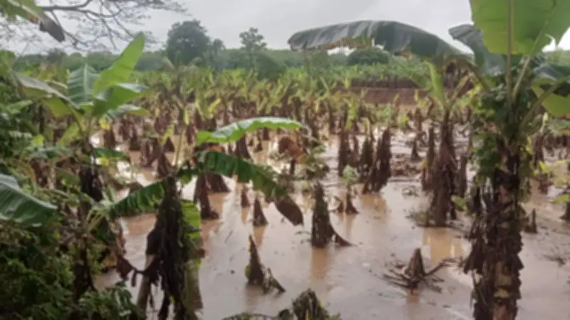 Gobierno anuncia inversión de $70.000 millones para recuperación de Urabá tras lluvias