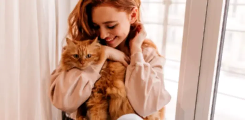 Guía esencial para tutores primerizos de gatos: adaptación saludable desde el primer día