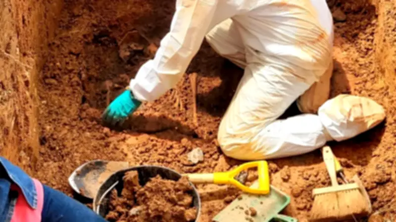 Hallan 11 cuerpos en fosa común en el Meta, la más grande encontrada en el departamento