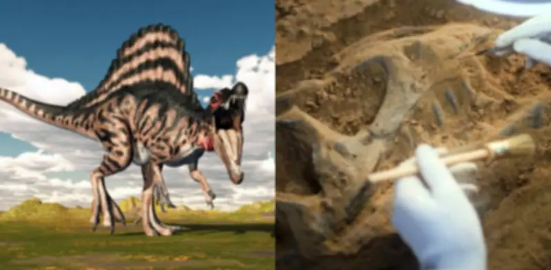 Hallazgo histórico en el Sáhara: descubren fósiles de dinosaurio con cresta de colores de 13 metros