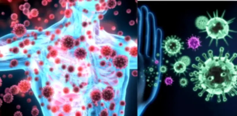 Harvard descubre molécula clave que regula respuesta inmune frente a infecciones, cáncer y alergias