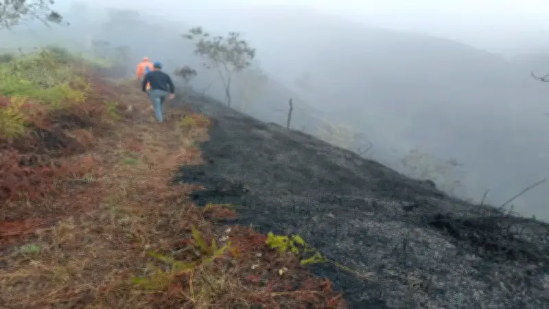 Incendio forestal consume 30 hectáreas de vegetación en Mogotes, Santander