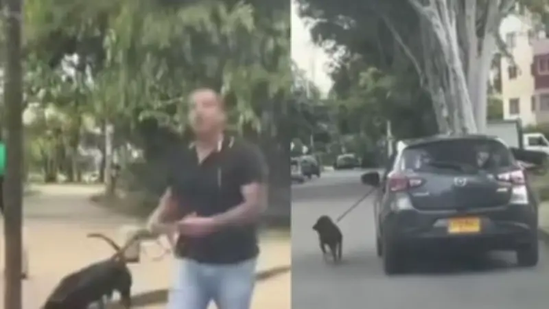 Indignación en Cali por video de perro amarrado a vehículo en movimiento