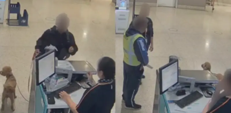 Indignación en EE.UU. por mujer que abandonó a su perro en aeropuerto de Nevada