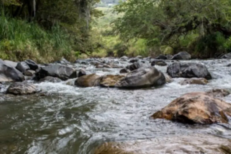 Inundaciones en Valle del Cauca afectan seis municipios tras intensas lluvias