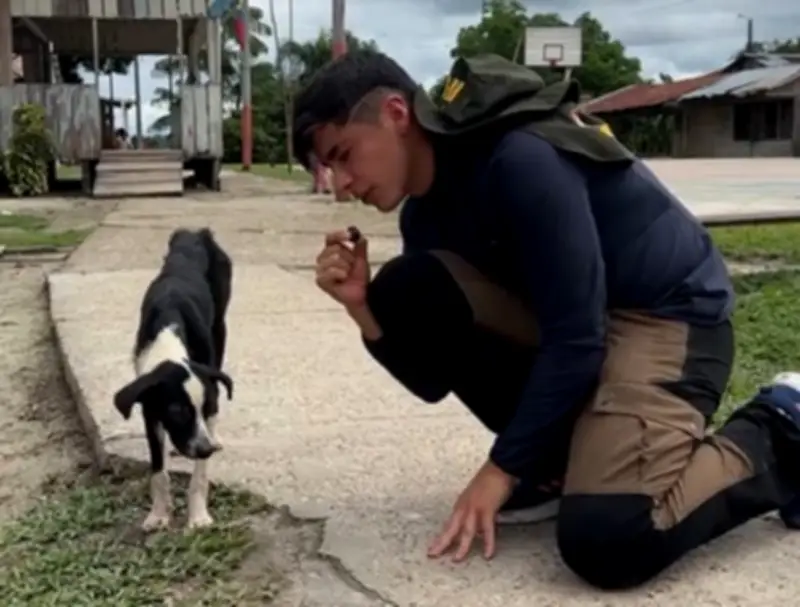 Julián Pinilla rescata perrita en Amazonas: Pepa supera anemia y sarna tras 182 días