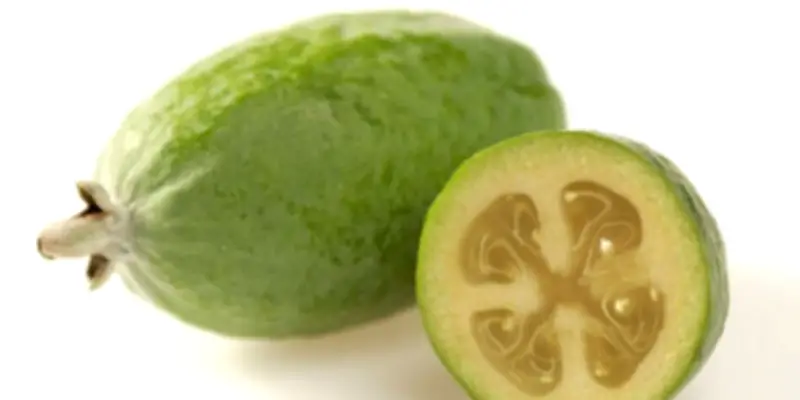 La feijoa: más que una fruta aromática, un tesoro nutricional y cultural de Colombia
