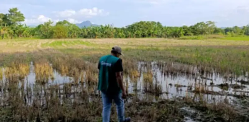 La Mojana: Cuatro años de inundaciones perpetuas condenan a Sucre a la pobreza extrema