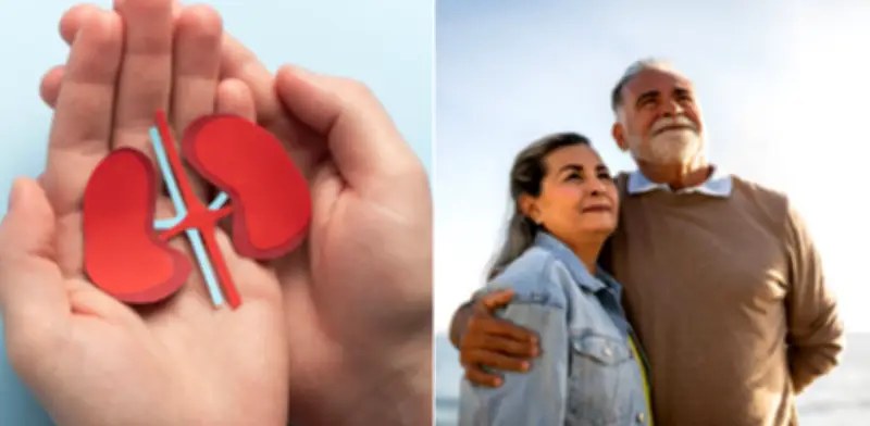 La proteína 'klotho': clave renal contra el envejecimiento y cómo preservarla