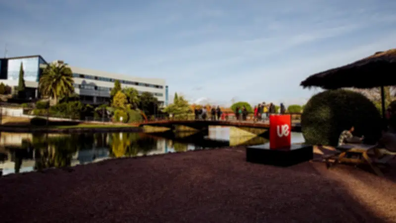Las profesiones con mayor proyección laboral en la era de la inteligencia artificial