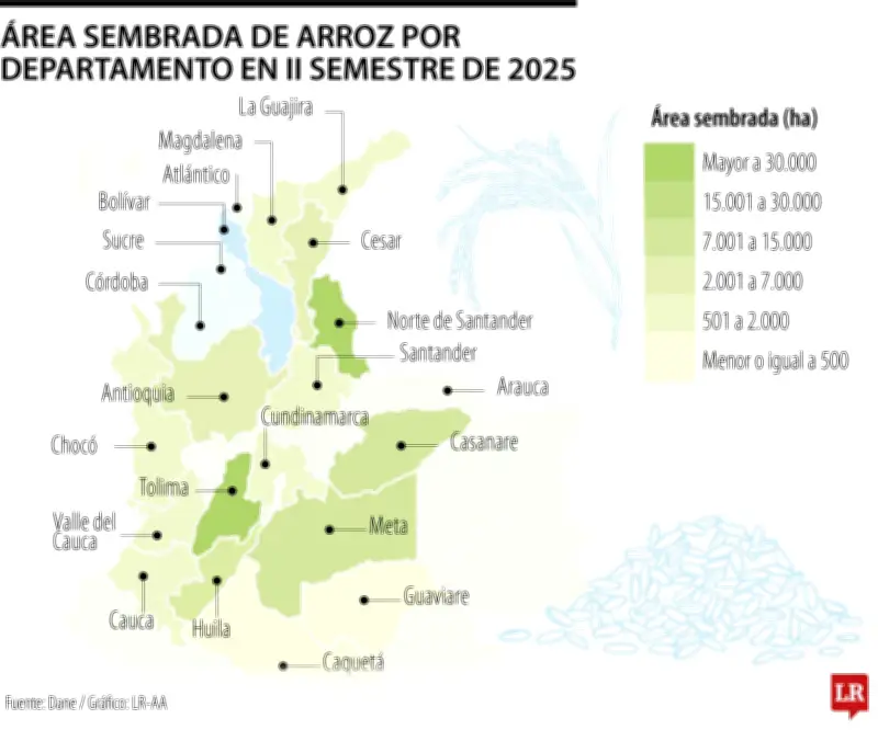 Lluvias en el Caribe amenazan 6.000 toneladas de arroz y afectan a miles de productores