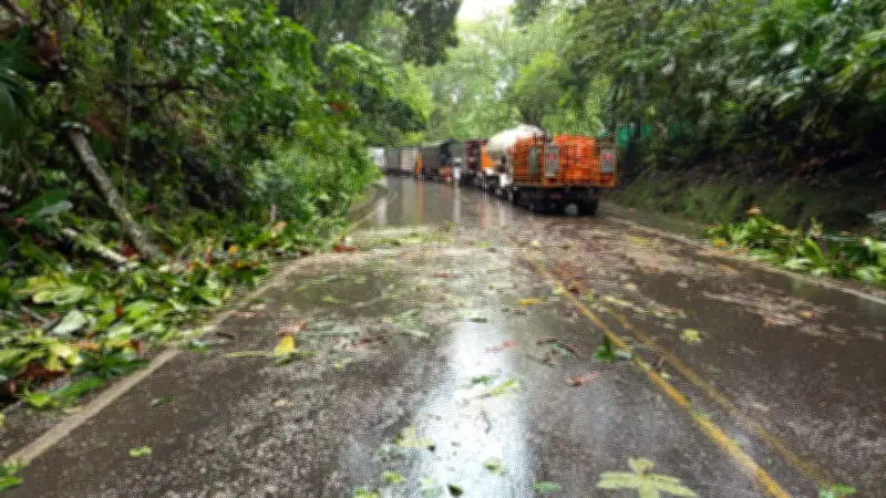 Lluvias intensas mantienen alertas rojas en Colombia con afectaciones en vías y comunidades