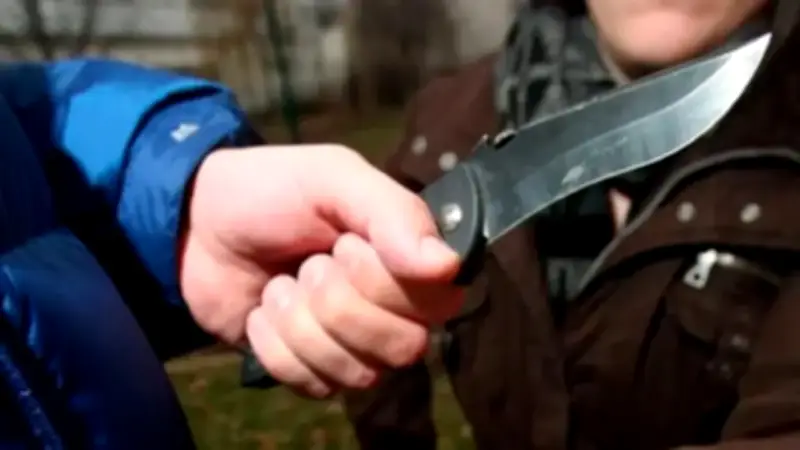 Madre amenazó y atacó con cuchillo a docentes en colegio de Sabana de Torres